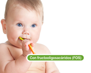 La flora intestinal y los fructooligosacáridos (FOS)