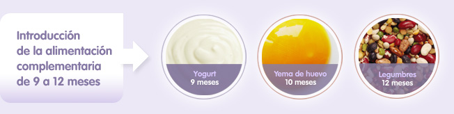 Introducción de la alimentación complementaria de 9 a 12 meses. Yogurt a los 9 meses. Yema de huevo a los 10 meses. Legumbres a los 12 meses.